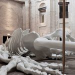 Chiesa della Santissima Trinità in Annunziata 5