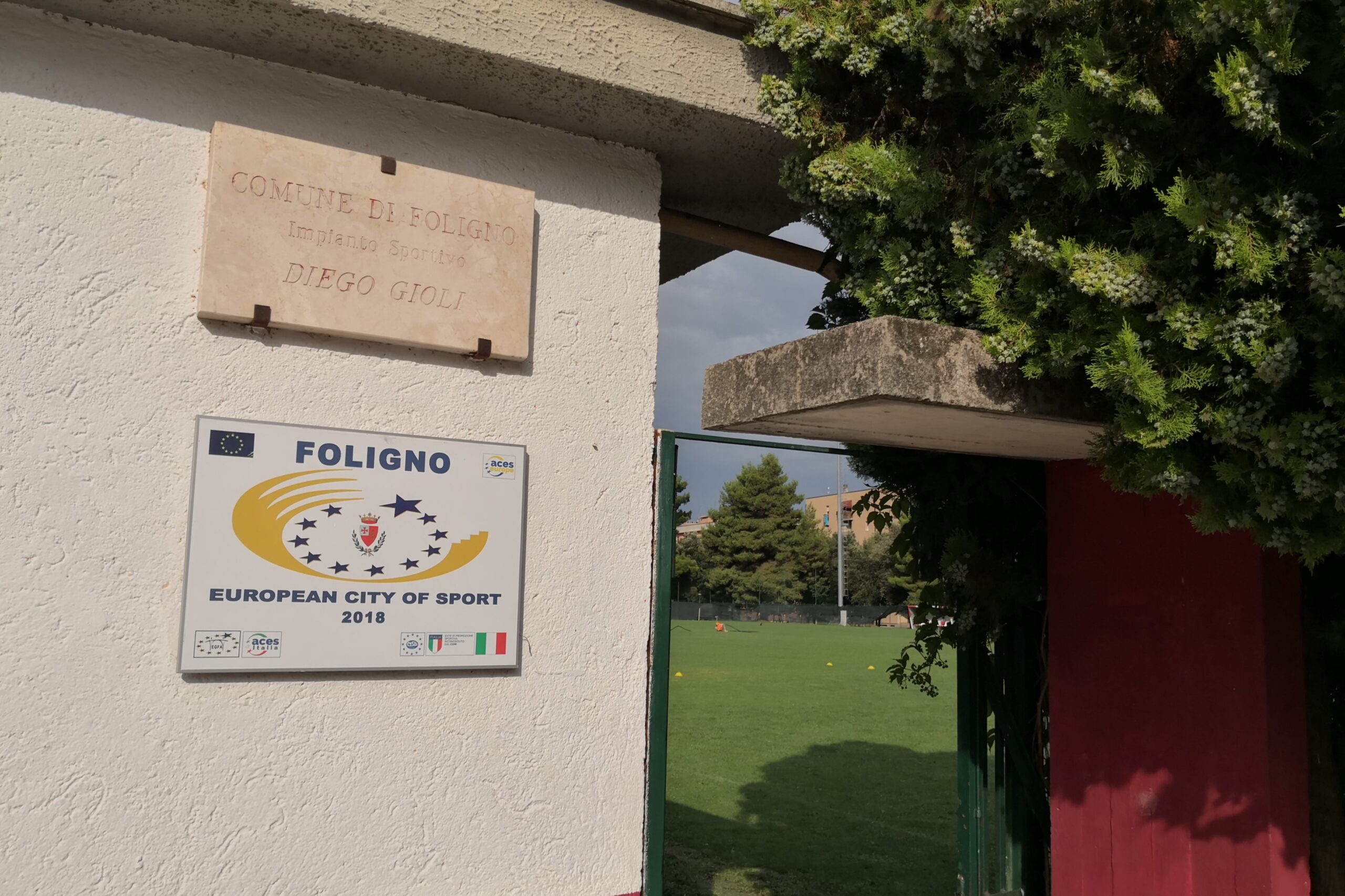 Immagine anteprima