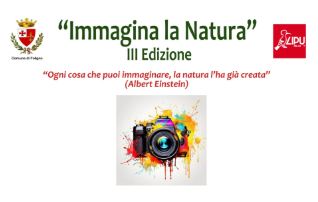 Immagine anteprima