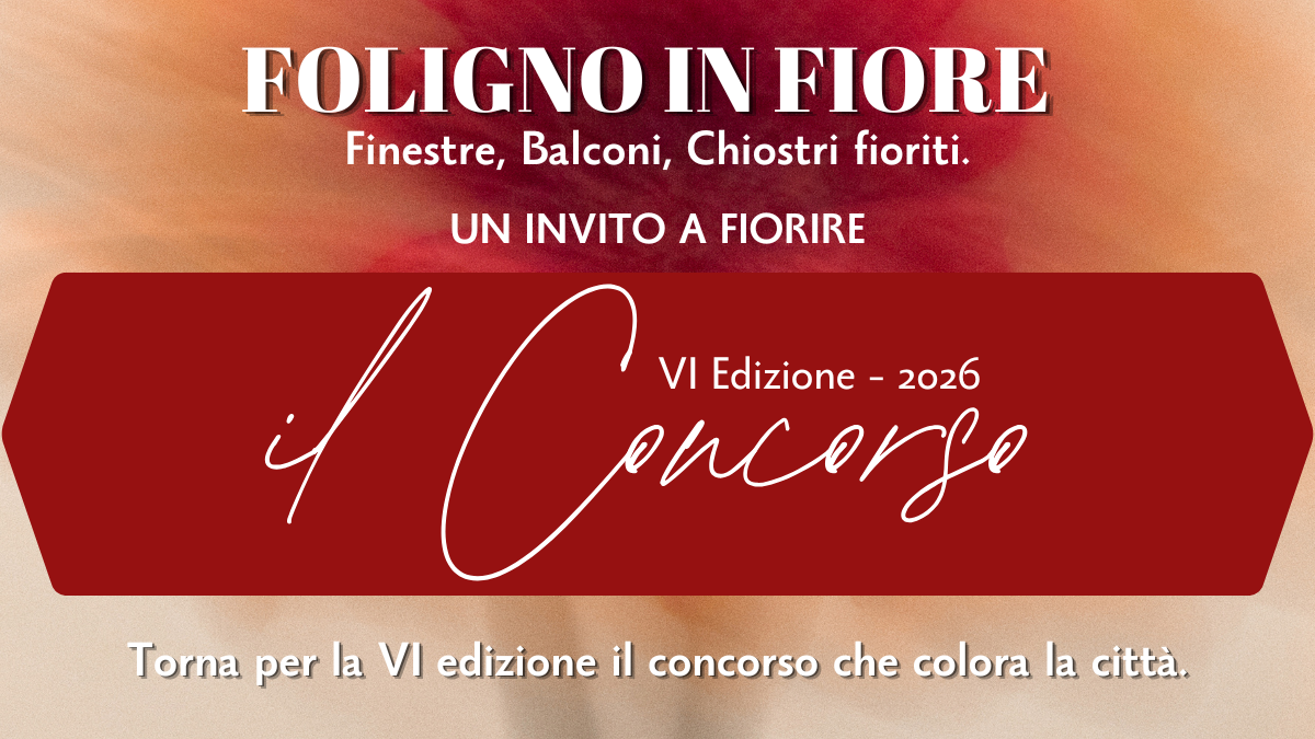 Immagine anteprima