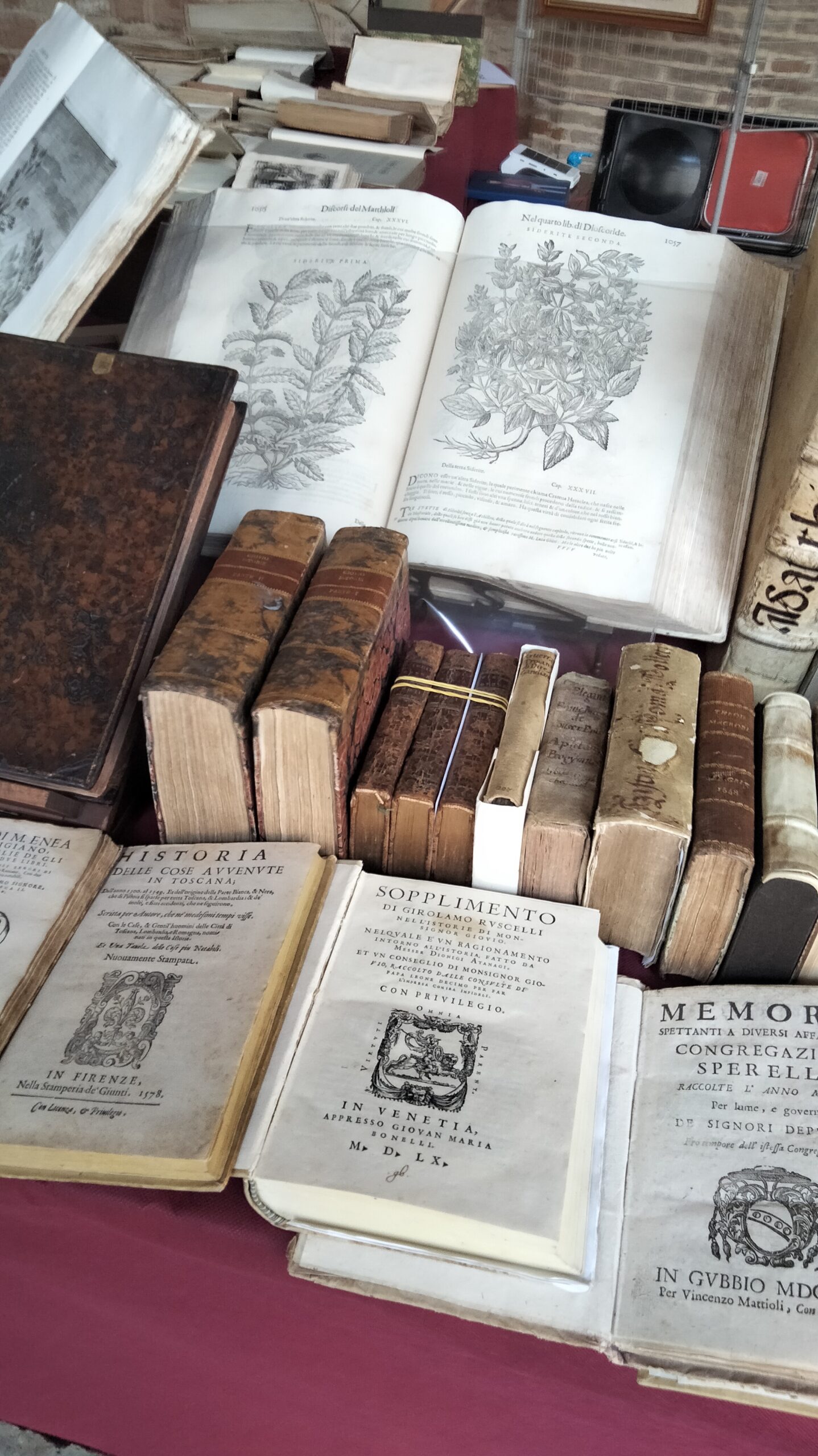 oplus_32 Immagine anteprima