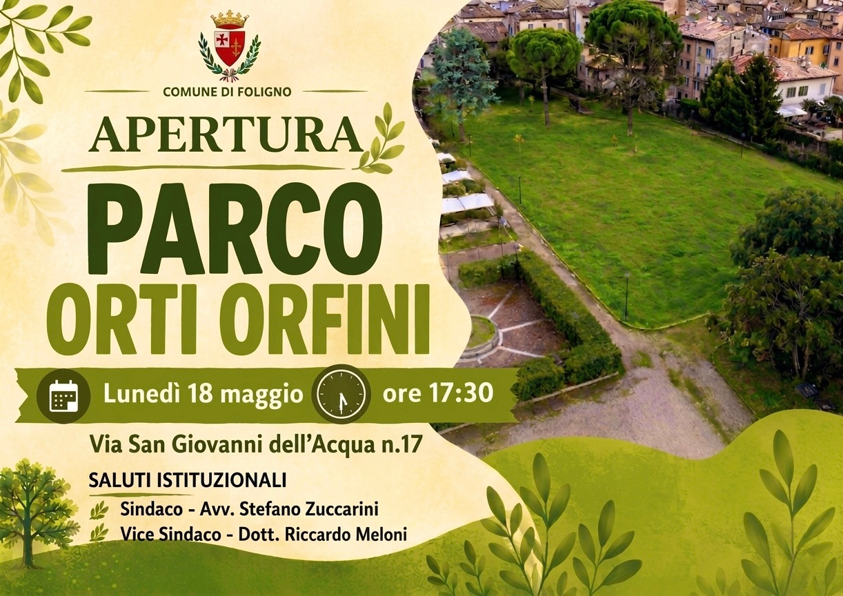 Immagine anteprima