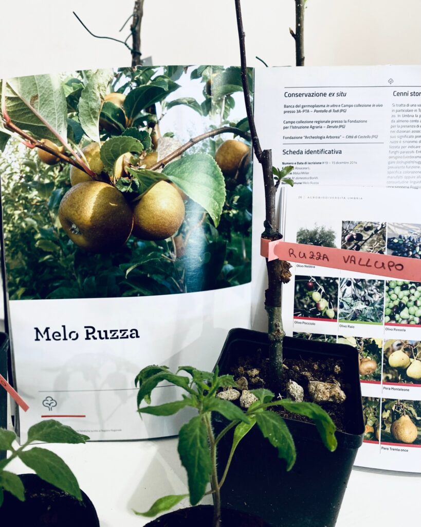 Biodiversità, Paesaggio, Comunità del cibo_aprile-agosto2025 (8)