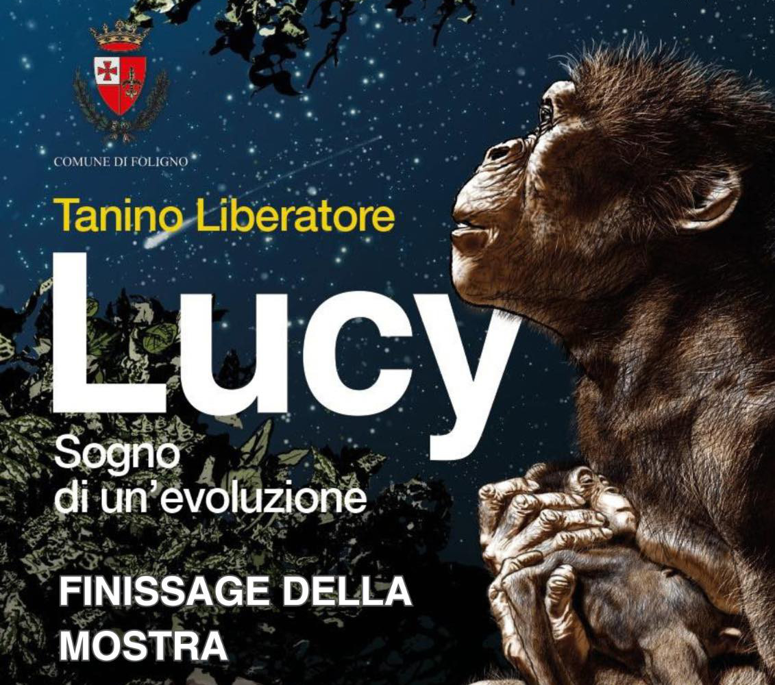 Immagine anteprima