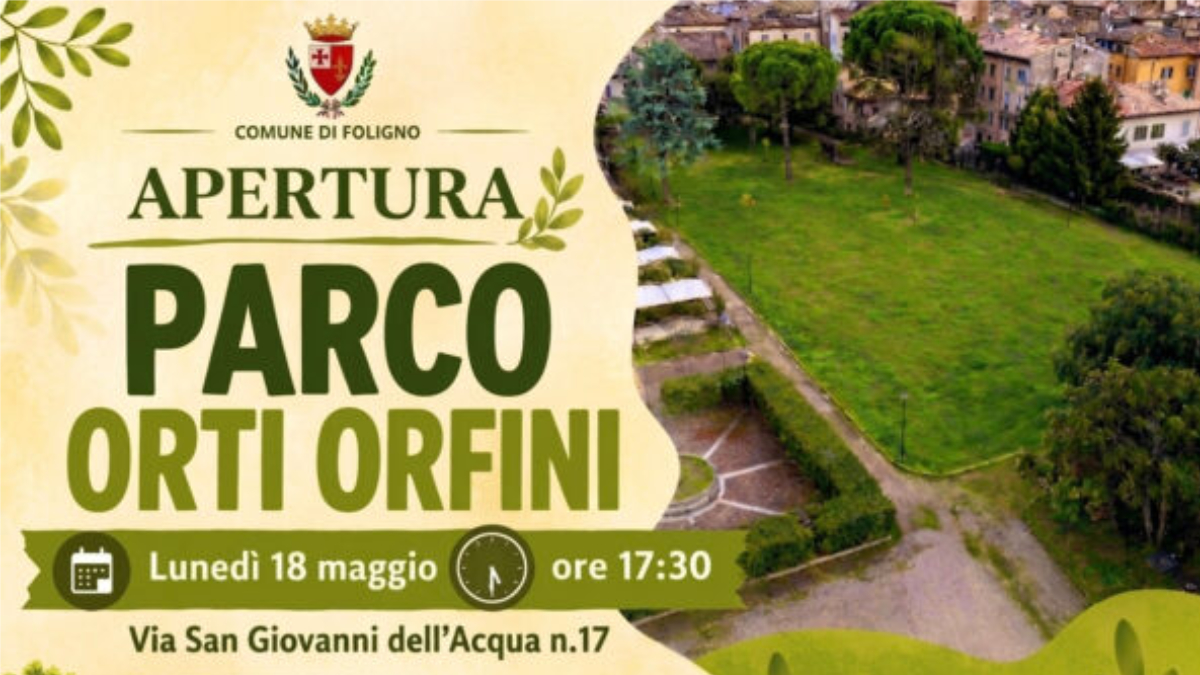 Immagine anteprima