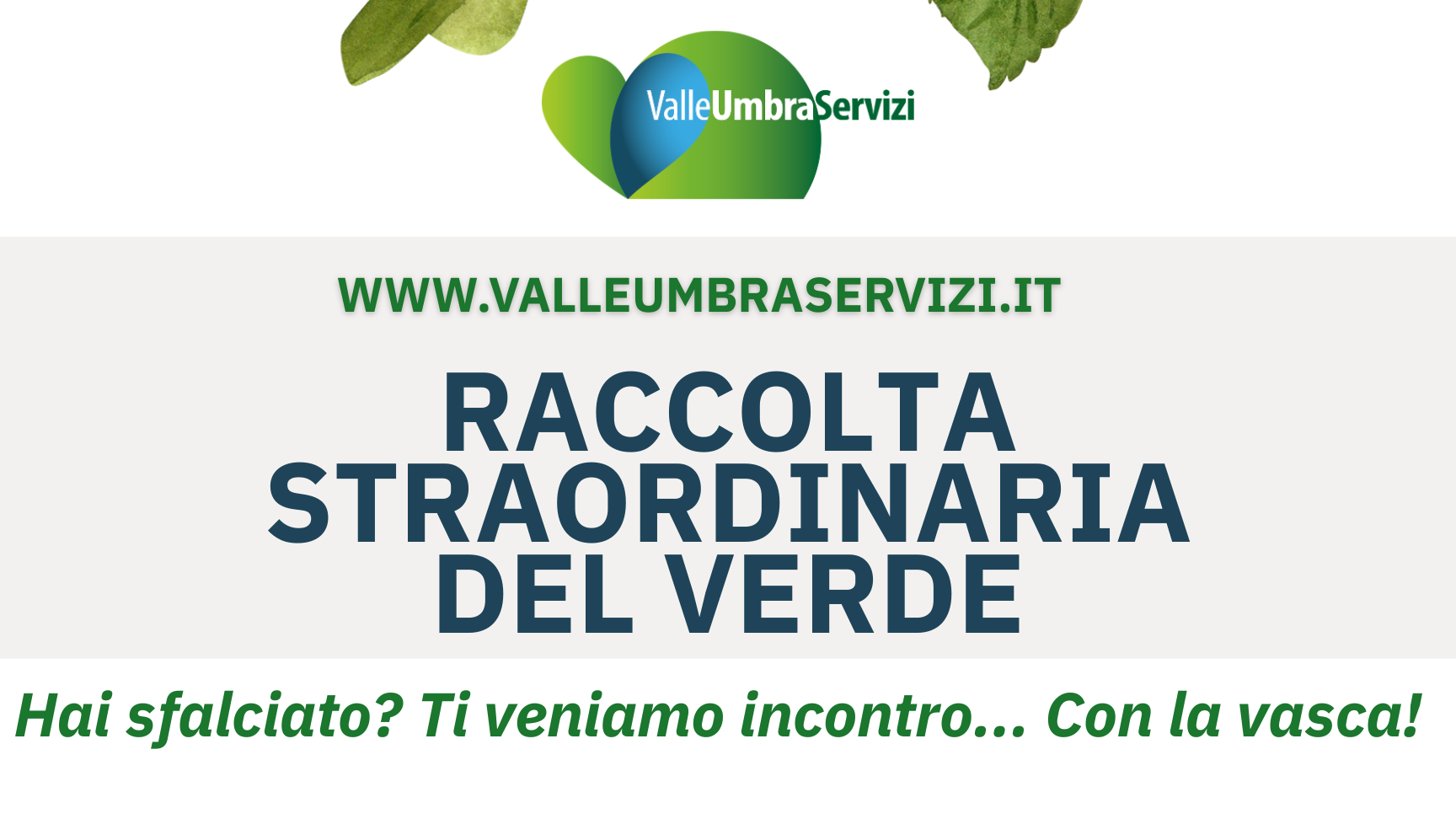 Immagine anteprima