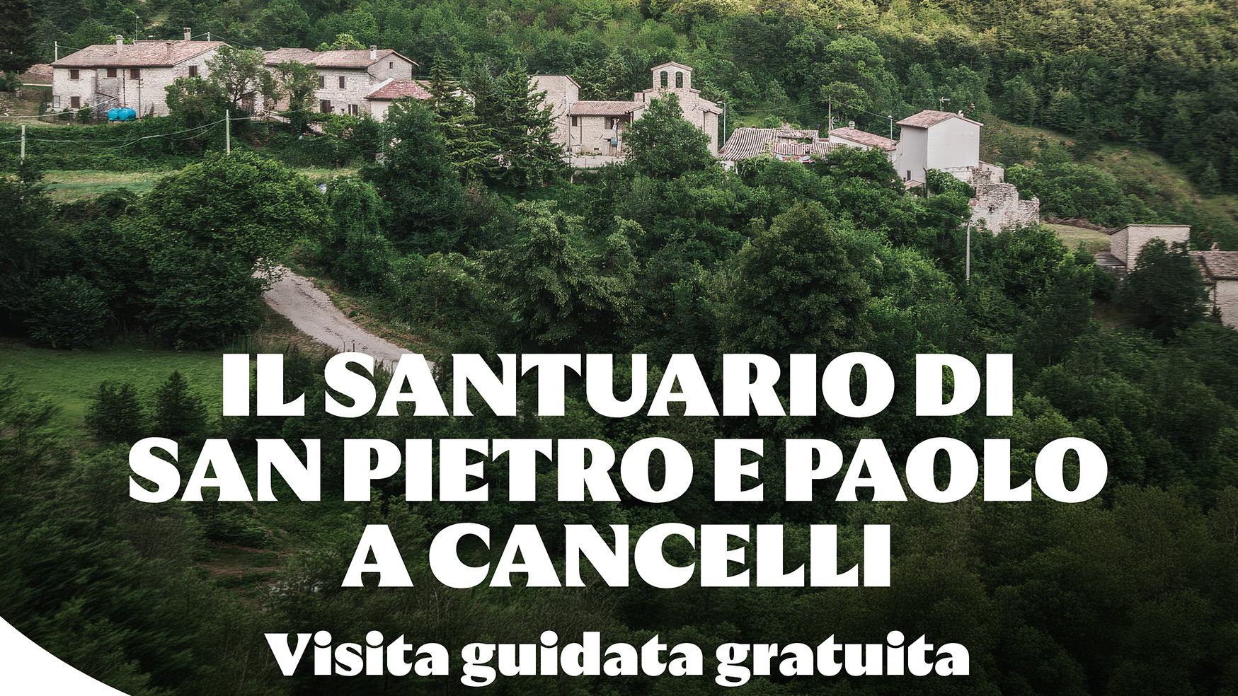 Immagine anteprima