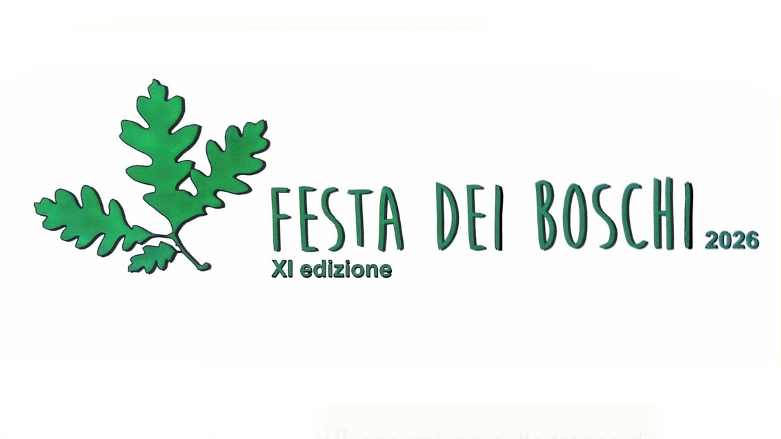 Immagine anteprima