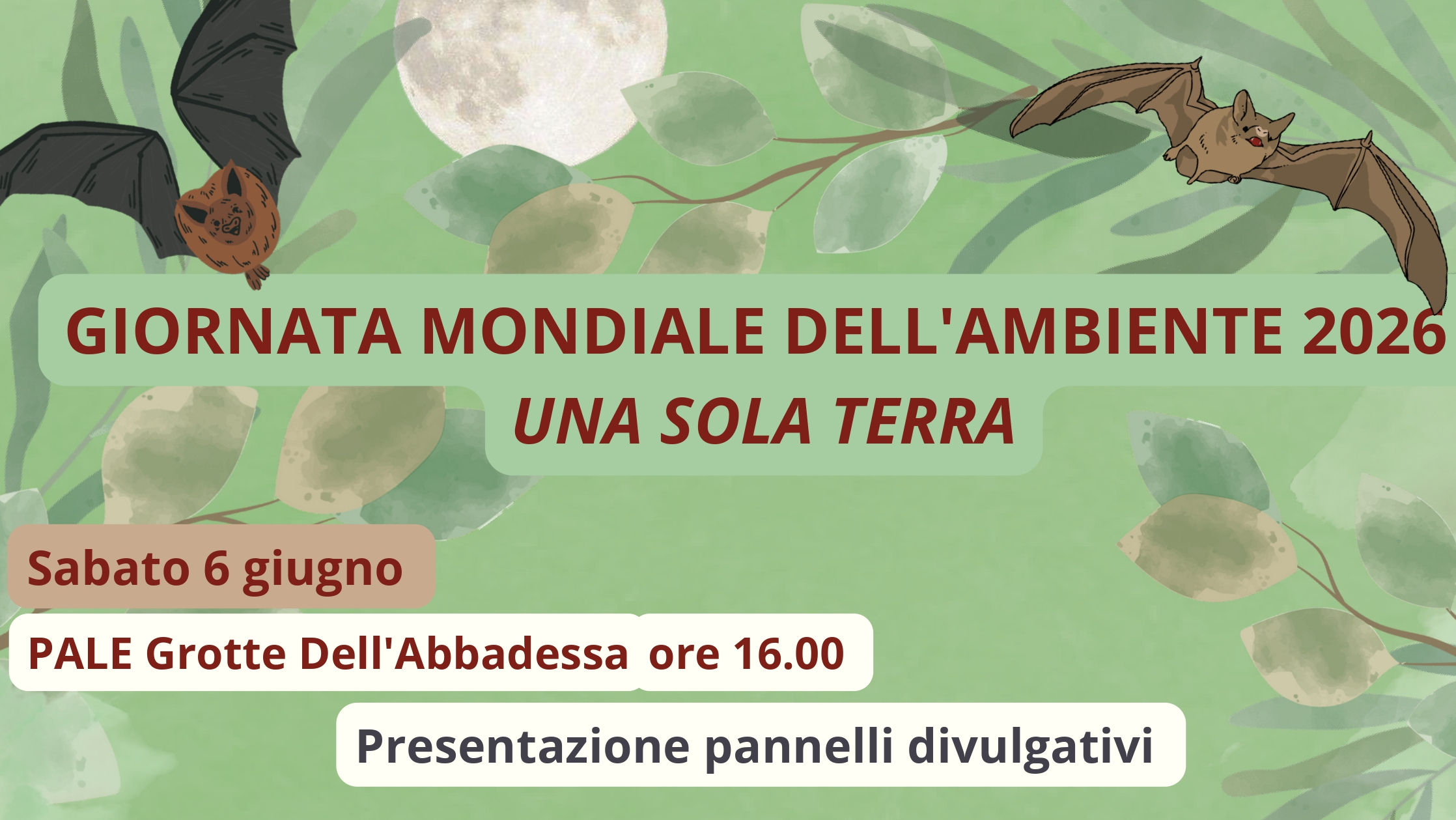 Immagine anteprima