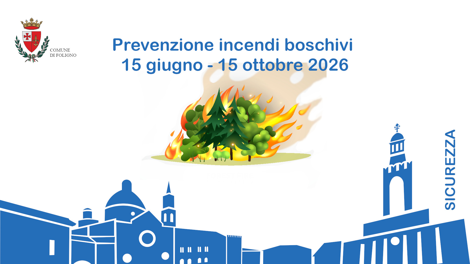Immagine anteprima