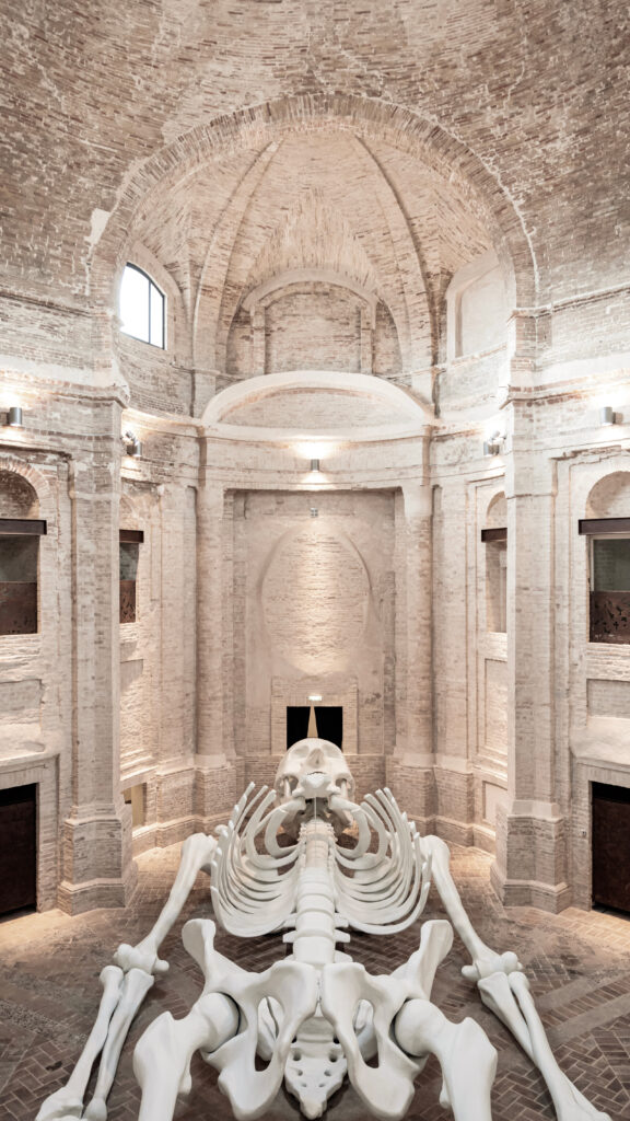 Chiesa della Santissima Trinità in Annunziata - Calamita Cosmica