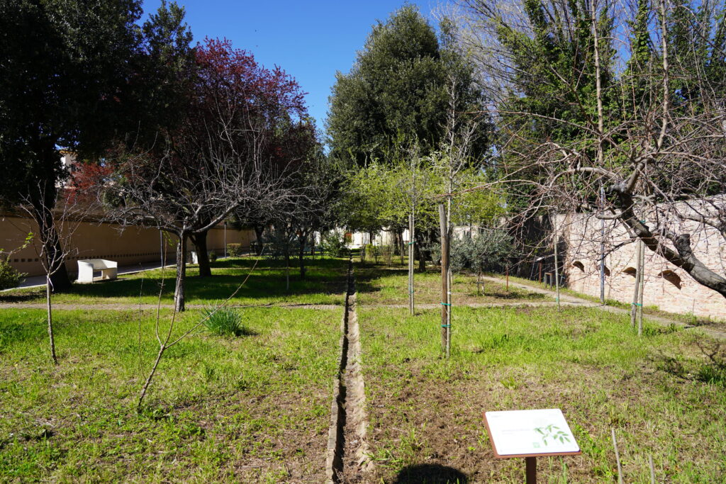 Orti Jacobilli
