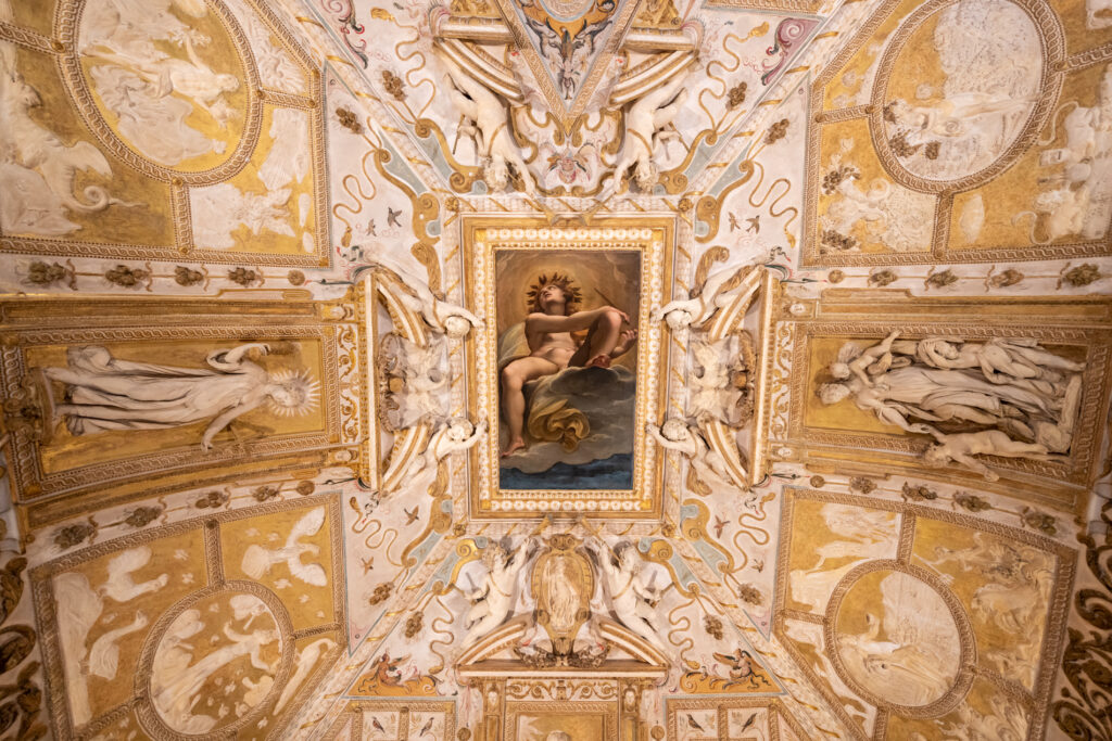 Immagine anteprima