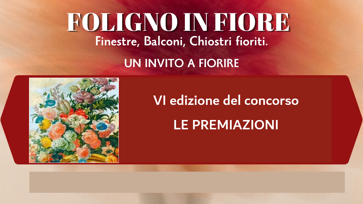 Immagine anteprima