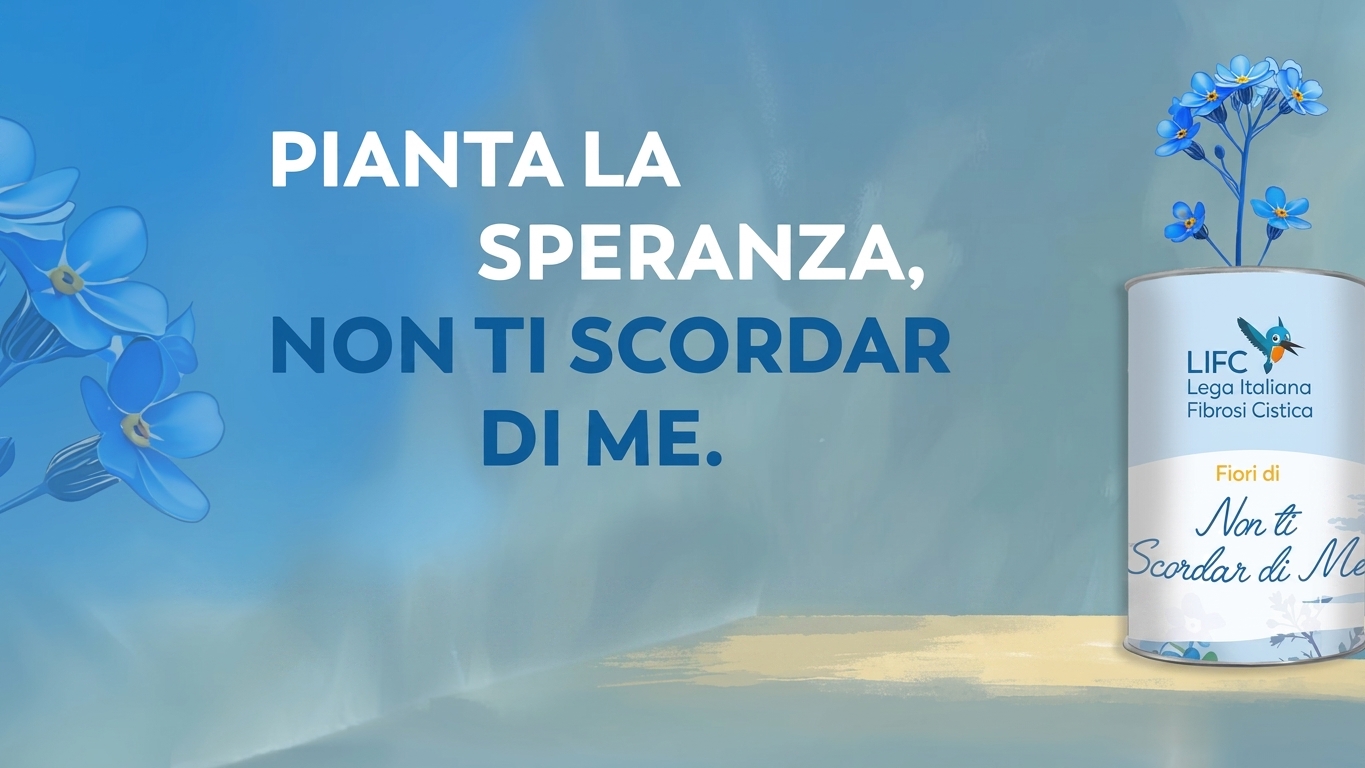 Immagine anteprima