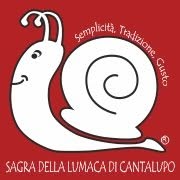 Immagine anteprima