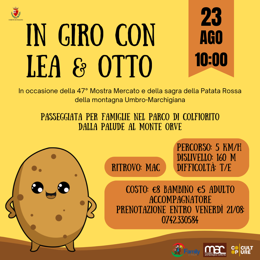 Immagine anteprima
