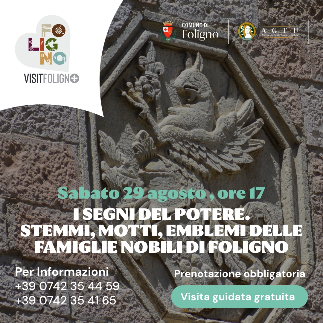 Immagine anteprima