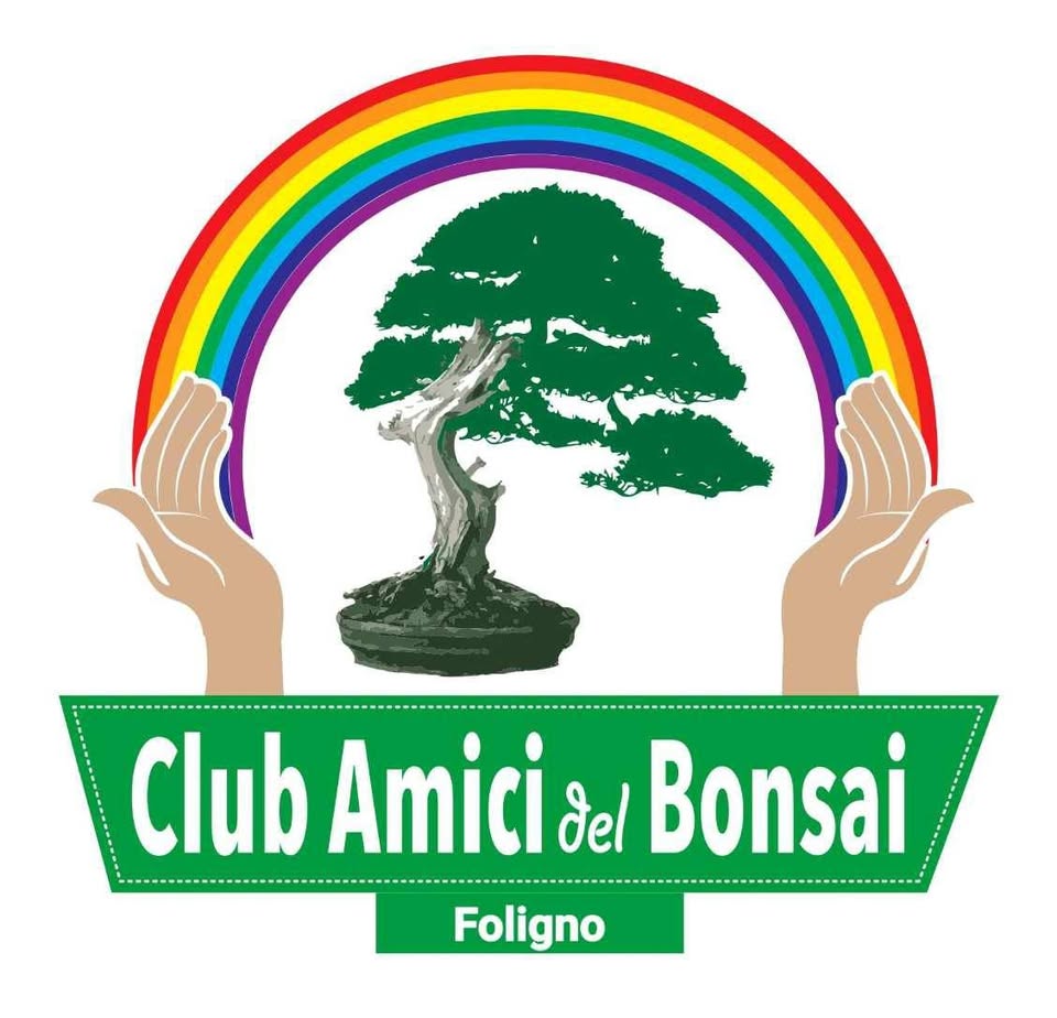 Club Amici del bonsai