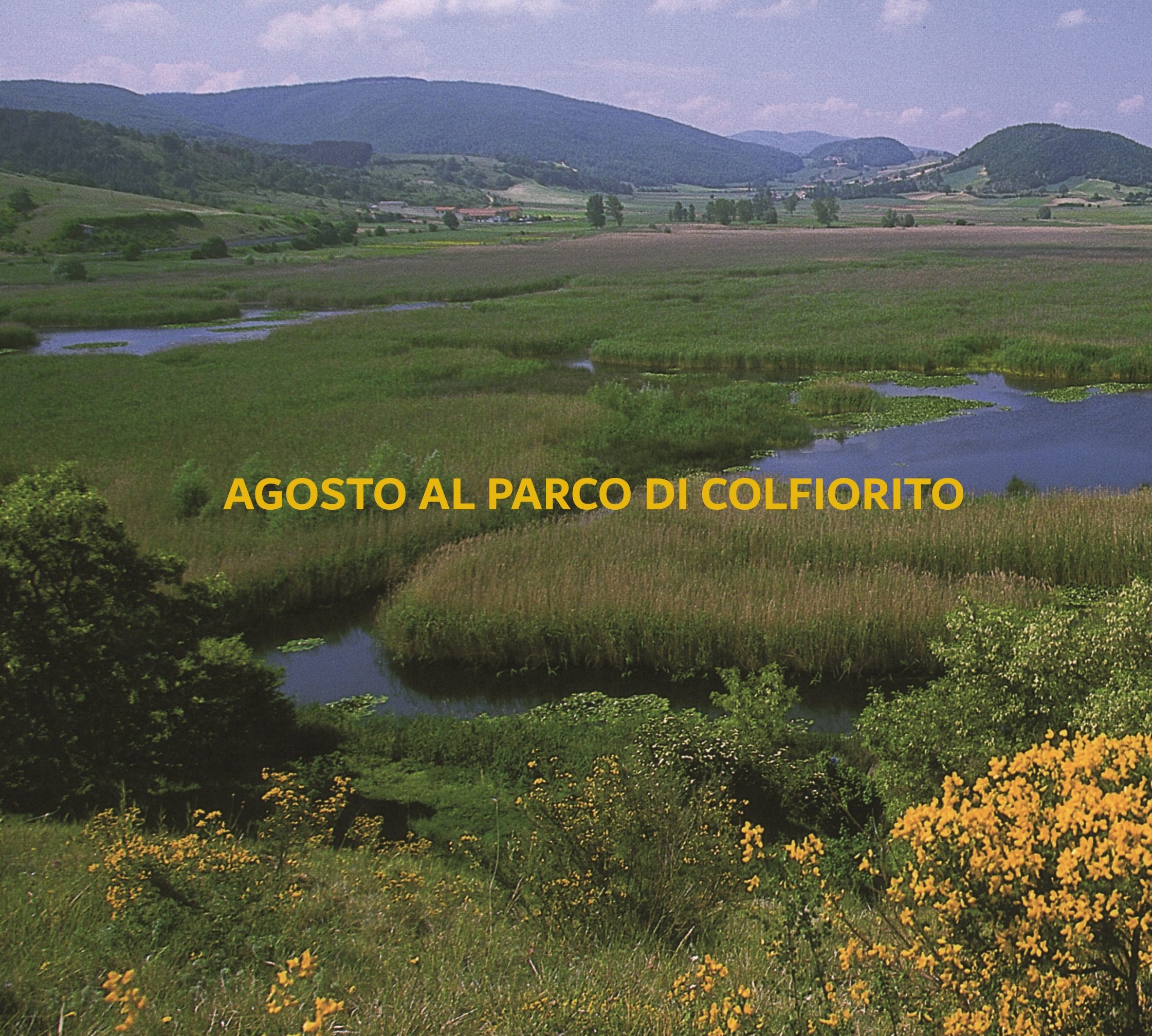 Immagine anteprima