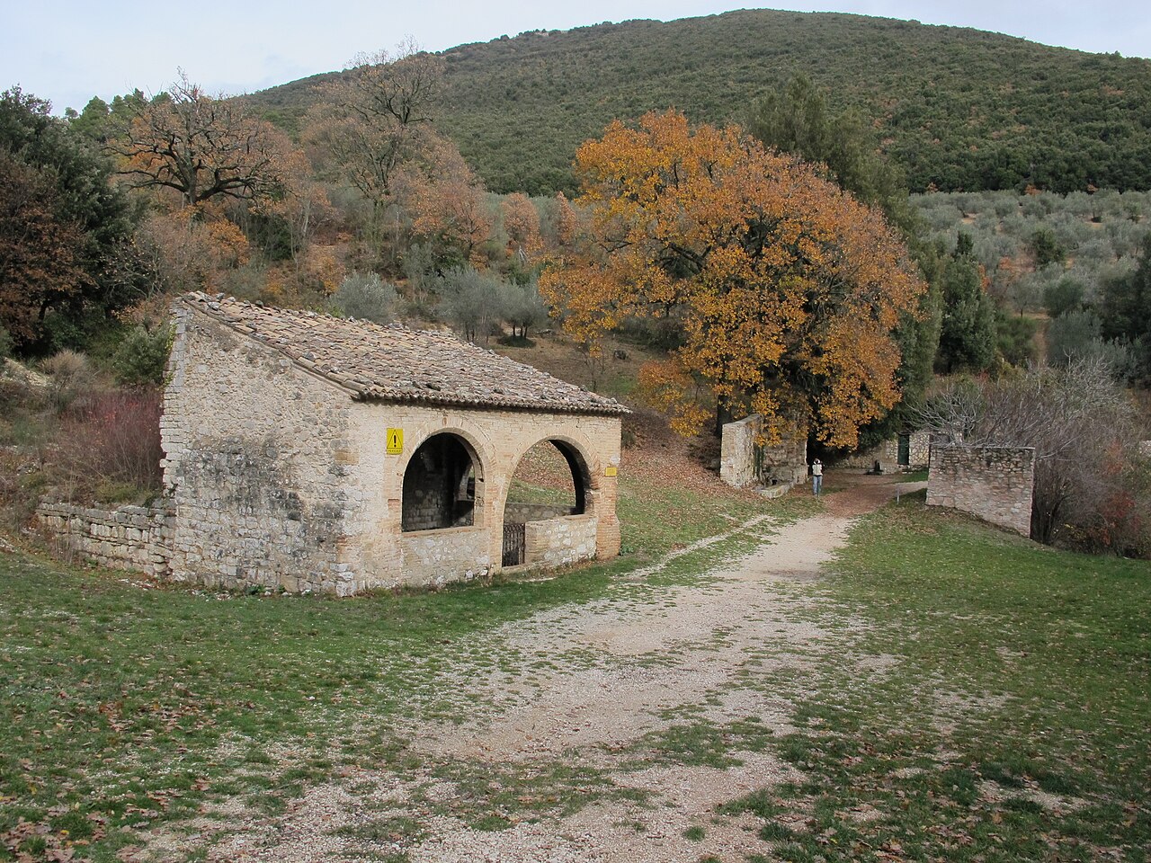 Immagine anteprima