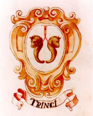 Immagine anteprima
