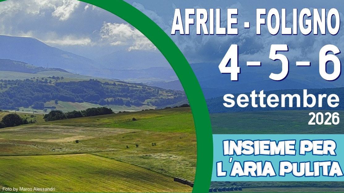Immagine anteprima
