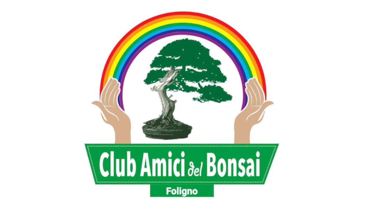 Immagine anteprima