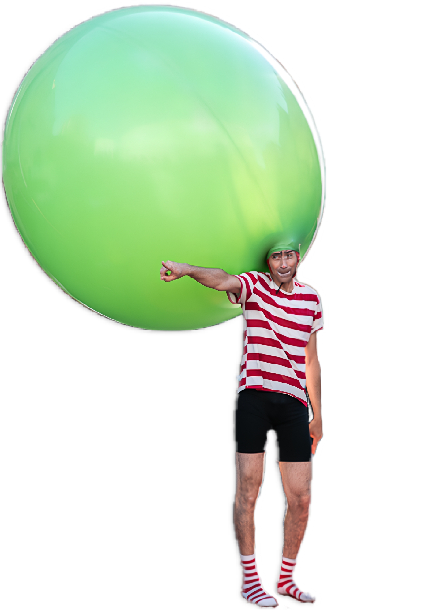 Immagine anteprima