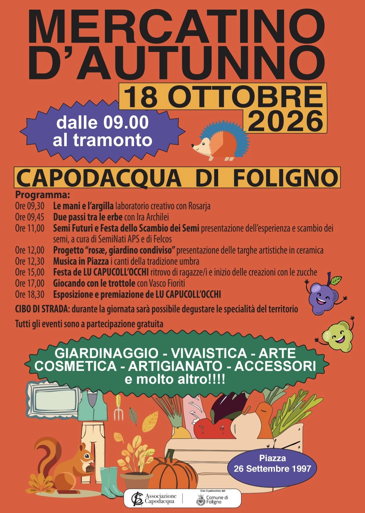 Immagine anteprima