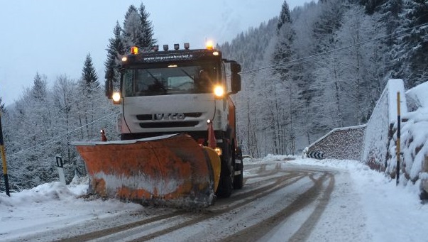 Immagine anteprima